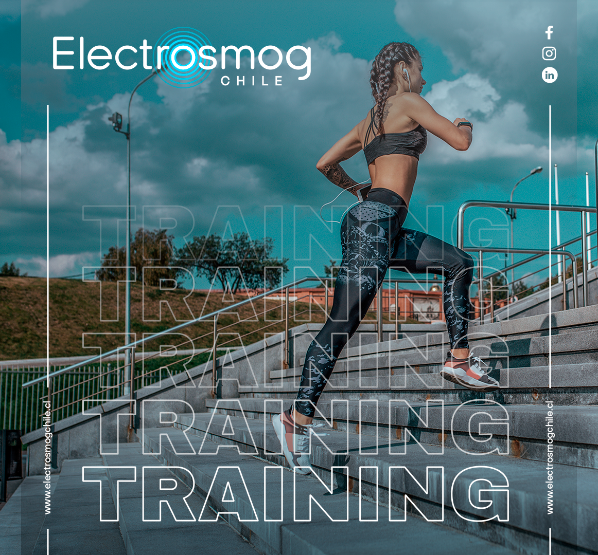 Marketing Digital – Electrosmog Chile